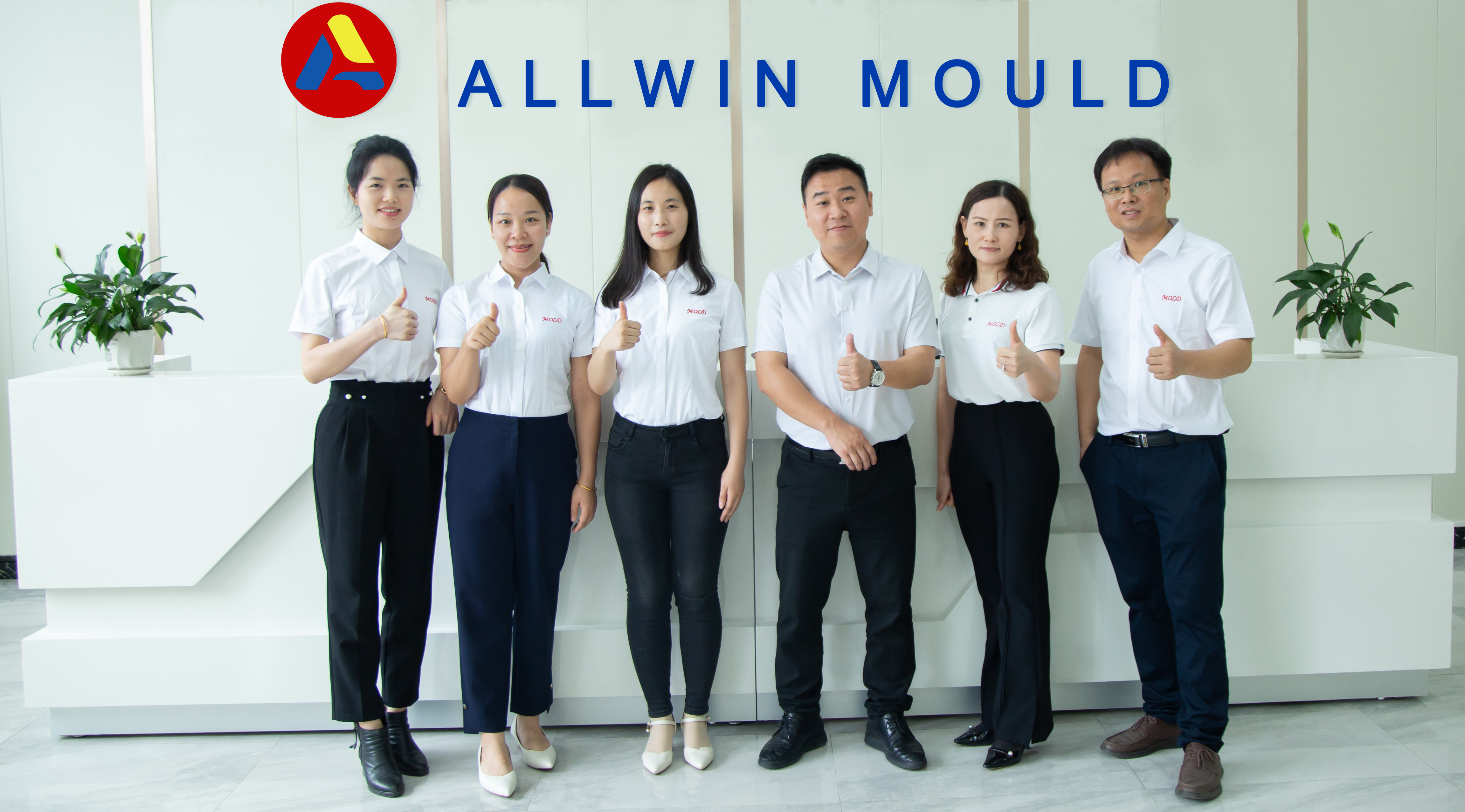 ALLWIN PRECISION MOULD CO.,LTD